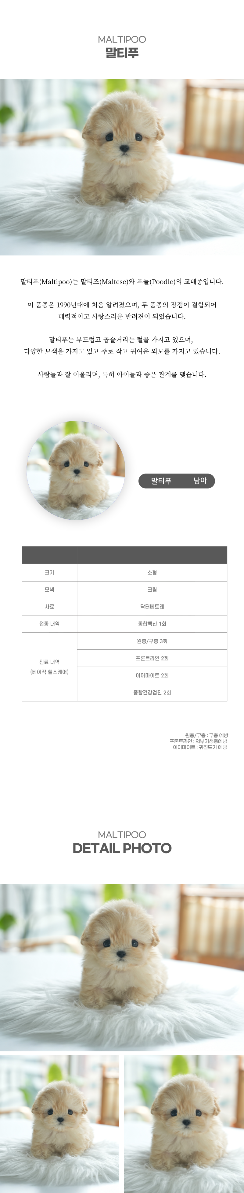 말티푸_상세이미지_2